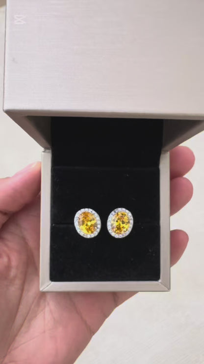 Amira Yellow Earrings