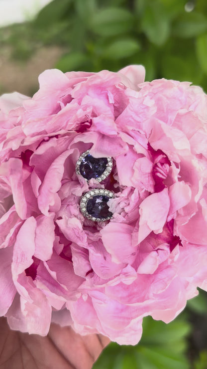Amira Violet Earrings